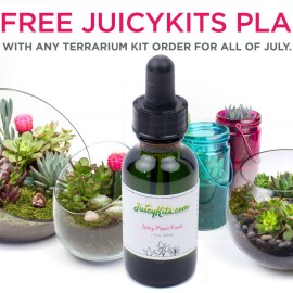 Summer’s Here! Get Free Juicykits Plant Food During July Free Succulents Plant Food at Juicykits.com During July